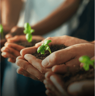 ATLAS Group Sustainability